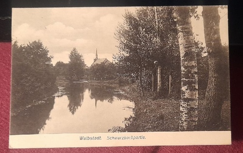   Ansichtskarte AK Waibstadt. Schwarzbachpartie 