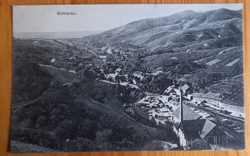   Ansichtskarte AK Bühlertal (Tal mit Fabriken) 