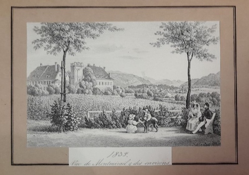 ohne Angabe  Lithographie "Vue de Montmirail & des environs", handschriftlich datiert 1835" 