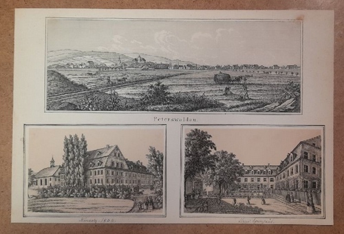 ohne Angabe  Lithographie "3 Abb. auf einem Blatt montiert - Peterswaldau Gesamtansicht und 2 weitere Ansichten" 