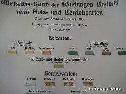 Grossherzogliche, Forst- u. Domnendirektion  bersichts-Karte (bersichtskarte) der Waldungen Badens nach Holz- und Betriebsarten 1:200.000 (nach dem Stand vom Jahre 1906) 
