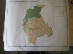 .  Uebersichts Plan der Gemarkung Bauschlott gezeichnet im Masstabe 1:10.000 der natrlichen Grsse (nach der Vermessung vom Jahre 1876, gezeichnet auf dem Groherzogl. Katasterbureau 1877) 