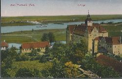 ohne Autor  Ansichtskarte Bad Pretzsch (Elbe) mit Raddampfer im Hintergrund (Schlo) 