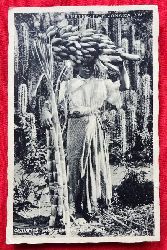   Ansichtskarte Greetings from Jamaica. Cactus for Fencing, Banana, sugar cane (geschrieben v. einem Herbert an Dr. Gabriele Wlker (s. Beschreibung unten) 