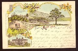   Ansichtskarte AK Souvenir de Monte Carlo (Litho. Les Terrasses et Jardins du Casino; Le Casino; Total) 