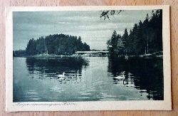   Ansichtskarte AK Lindenberg im bayer. Allgu. Schwimmanstalt am Waldsee 