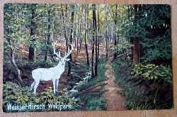   Ansichtskarte AK Kurort Weier Hirsch. Waldpark (mit Hirsch) 