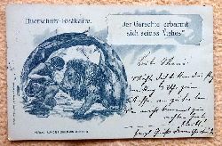   Ansichtskarte AK Thierschutz Postkarte "Der Gerechte erbarmt sich seines Viehes" 