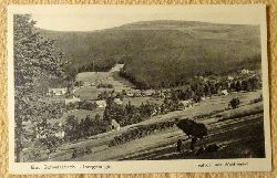   Ansichtskarte AK Bad Schwarzbach i. Isergebirge. Heufuder und Waldfrieden 