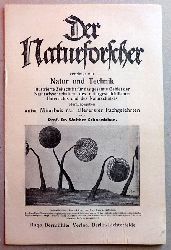 Hugo Bermhler Verlag  Werbebroschre fr "Der Naturforscher vereinigt mit Natur und Technik" Hg. Walther Schoenichen 