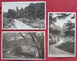   3 Ansichtskarten AK High Wycombe, Abbey School, Park / Hughenden Park / Girls Garden 
