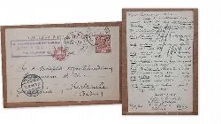 Ducceschi, Virgilio  Postkarte / Ganzsache des Virgilio Ducceschi, Instituto Fisiologico Universita Roma an A. Bielefeld