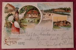   Ansichtskarte AK Schsisch-Thringische Industrie- und Gewerbe-Ausstellung, Leipzig 1897 (Farblitho. Ansichten aus dem Dorf. Bauernhaus, Thringer Waldhtte, Brcke, Mhle) 