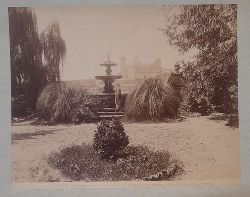   Orig. Fotografie Nr. 15681 Viterbo Palazzo Communale il Giardino con Veduta della Chiesa della Trinita 