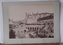   Orig. Fotografie. URBINO Panorama Della Citta Vista dalla Via Maestra dei Cappuccini 