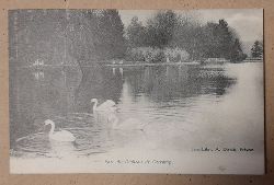   AK Ansichtskarte "Frevent. Parc du Chatesau de Cercamp" 