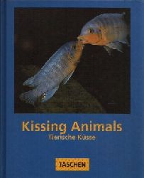 Tdtmann, Claudia:  Animals Kissing - tierische Ksse 