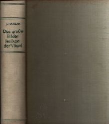 Hanzak, J.;  Das groe Bilderlexikon der Vgel 