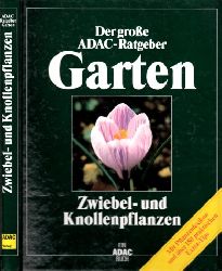 Autorengruppe;  Der groe ADAC-Ratgeber Garten - Zwiebel- und Knollenpflanzen 