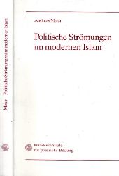 Meier, Andreas;  Politische Strmungen im modernen Islam - Quellen und Kommentare 