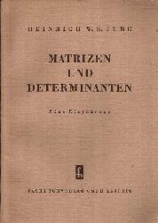 Jung, Heinrich W.E.:  Matrizen und Determinanten Eine Einfhrung 