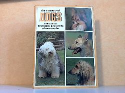 Boorer, Wendy, Cecil Wimhurst Barbara Woodhouse a. o.;  The treasury of Dogs 