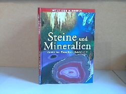 Staedter, Tracy und Bronwyn Sweeney;  Welt der Wunder: Steine und Mineralien Illustrationen: Andrew eckett, Chris Forsey, Ray Grinaway ect. 
