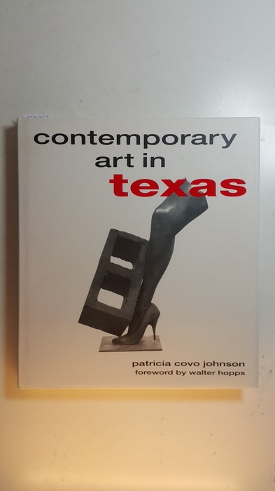 Patricia Covo Johnson  Contemporary Art in Texas 