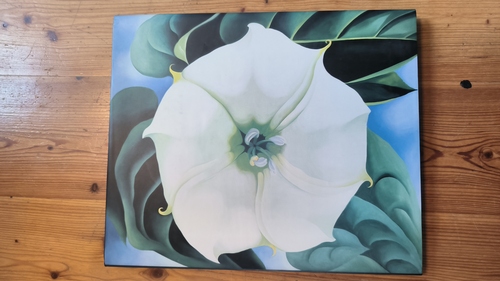 O'Keeffe, Georgia (Verfasser)  Blumen 