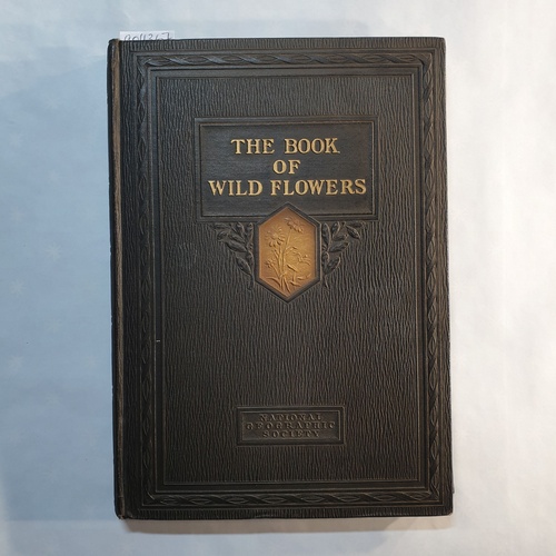   The Book of Wild Flowers: An introduction to the ways of plant life,... 