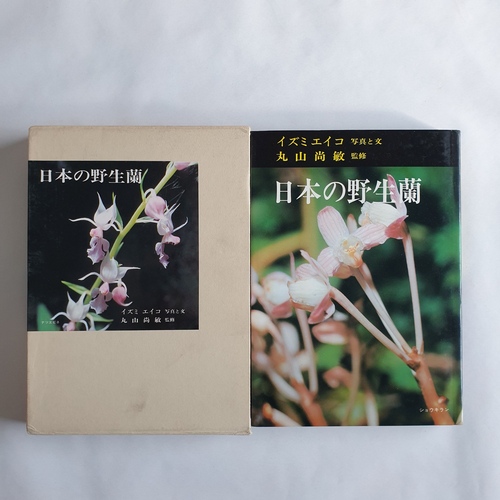 Eiko Izumi, Naotaka Maruyama  Japanese wild Orchids 