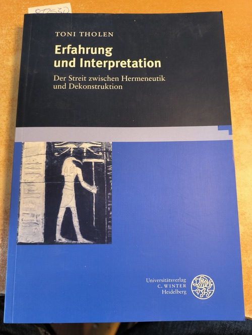 Tholen, Toni  Erfahrung und Interpretation: Der Streit zwischen Hermeneutik und Dekonstruktion (Probleme der Dichtung) (German Edition) 