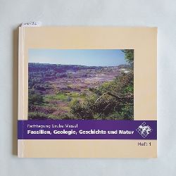 Hllwarth, Michael (Herausgeber)  Geologie, Geschichte und Natur / Fachtagung Grube Messel 1993 