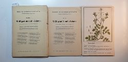 Hrmann, Bernhard (Hrsg.)  Wildgemse und Salate 1. Bildreihe: Heil- und Nhrkrfte aus Wald und Flur Heft 1. mit 20 Tafeln 