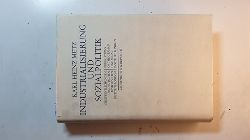 Metz, Karl Heinz  Industrialisierung und Sozialpolitik : d. Problem d. sozialen Sicherheit in Grossbritannien 1795 - 1911 