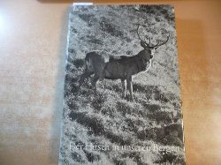 SCHMIDT, Lic. Ph.  Der Hirsch in unseren Bergen. Ein Buch vom Gebirgshirsch der Schweiz fr Freunde der Berge und ihres Wildes 