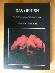 Thompson, Richard F.  Das Gehirn. Von der Nervenzelle zur Verhaltenssteuerung. 