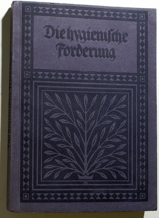 Grotjahn, Alfred.  Die hygienische Forderung. Die blauen Bücher. 