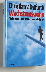 Huber, Joseph.  Erwerb und Eigenarbeit Dualwirtschaft in der Diskussion. Magazin Brennpunkte 33/4092 