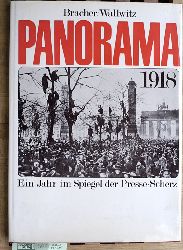 Wallwitz, Alice Grfin [Hrsg.].  Panorama 1918. Ein Jahr im Spiegel der Presse. Siebenter Band. 