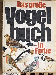 Rilke, Rainer Maria.  Die Aufzeichnungen des Malte Laurids Brigge Mit einem Nachwort von Volker Schffer. Sammlung Fischer 