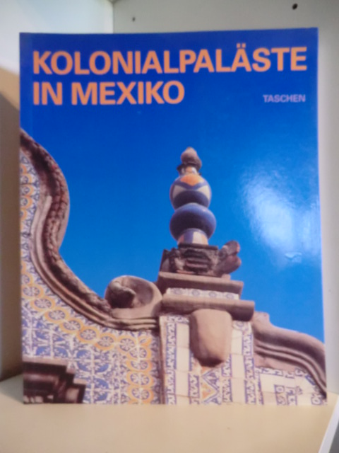 Demm, Eberhard  Kolonialpaläste in Mexiko 