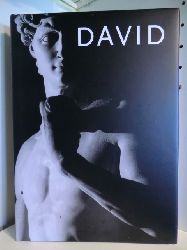 Photographs by Aurelio Amendola. Text by Antonio Paolucci  David. Michelangelo 