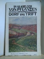 Koelsch, Adolf:  Von Pflanzen zwischen Dorf und Trift : Ein Buch f. Schnheitssucher. 