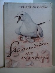Kantak, Friedrich:  Sturmmwen auf Langenwerder. Aus der Geschichte einer Vogelinsel 