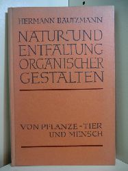 Bautzmann, Hermann:  Natur und Entfaltung organischer Gestalten von Pflanze, Tier und Mensch 