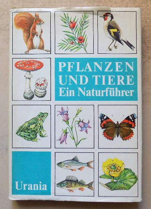 Needon, Chr.; Dr. Johannes Petermann und Peter Scheffel  Pflanzen und Tiere - Ein Naturführer. 