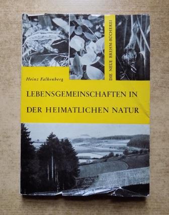 Falkenberg, Heinz  Lebensgemeinschaften in der heimatlichen Natur - Eine Einführung in die biozönotische Betrachtungsweise. 