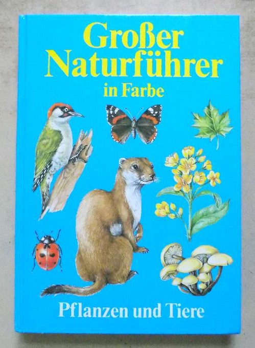 Needon, Christoph; Dr. Johannes Petermann und Peter Scheffel  Großer Naturführer in Farbe. Pfanzen und Tiere. 