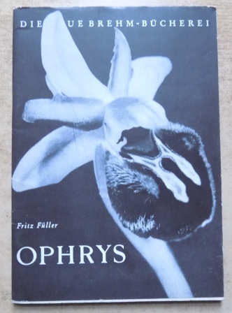 Füller, Fritz  Ophrys - Ein Querschnitt durch das Leben der Ragwurz-Arten Mitteleuropas. Orchideen 2. Teil. 